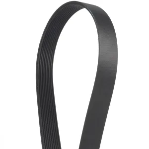 8004642 Treadmill Drive Belt, Compatible with Bowflex Max Trainer M3 M5 M7, Replacement Drive Belt for Training Equipment Repair