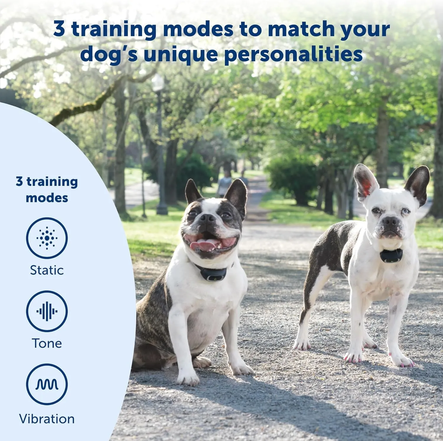 PetSafe Add-A-Dog Remote Training Collar – Smaller Version for Small or Medium Dogs – Choose from Tone, Vibration, or 15 Levels of Static Stimulation – Waterproof and Durable – Rechargeable