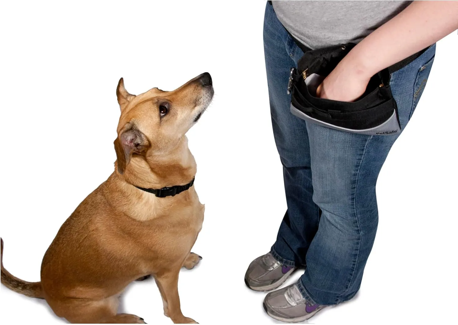 PetSafe Treat Pouch Sport- Durable, Convenient Dog Training Accessory, Standard, Red