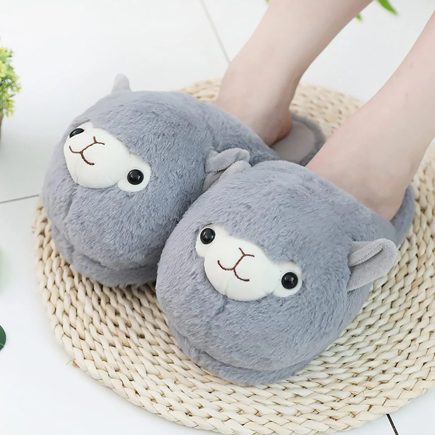 Warm Family Slippers - Soft, Comfortable, Cute & Furry Home Shoes